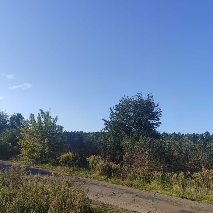 Земельна ділянка с.Решуцьк