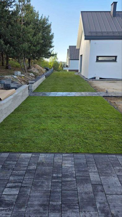 Trawa w rolce *Premium - PLANTACJA
