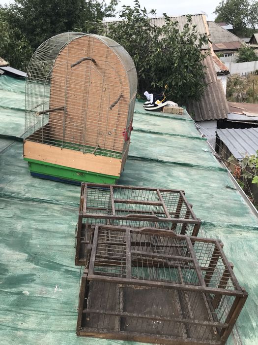 Клітки для птахів різного призначення та розміру