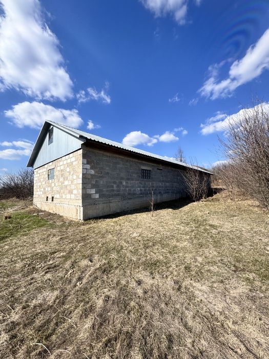 Продам дом в селе Андреевка