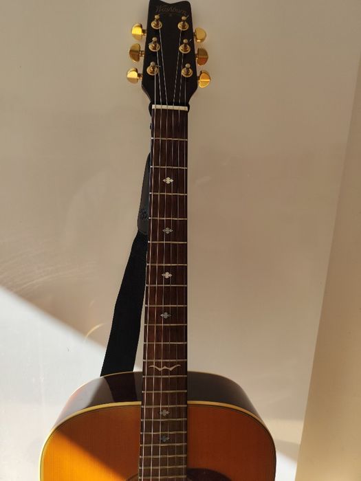 washburn d21s/n guitar acoustic