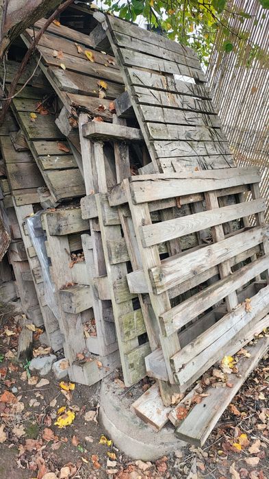 Palety drewniane około 25-30sztuk