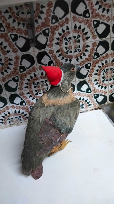 Águia do Benfica