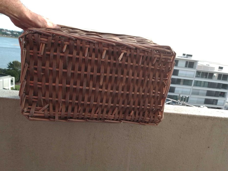 Cesto de Verga-8E-Pum Pum Somente +1 dia no Paraiso-Poster-3E Desde 2E