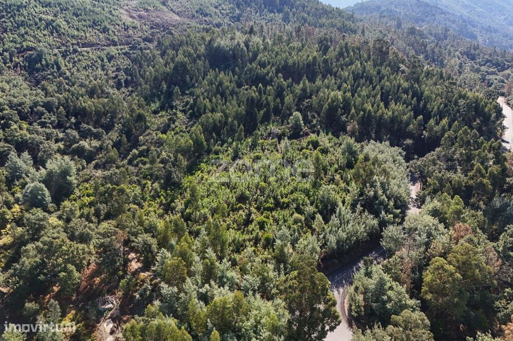 Terreno em Folques, Arganil