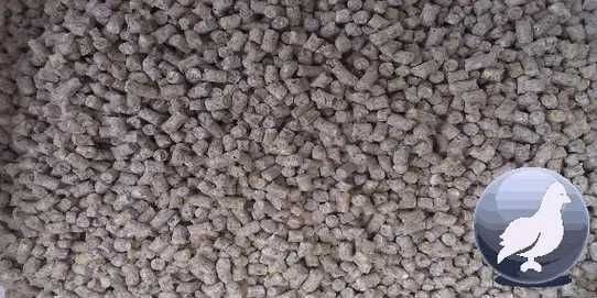 Комбикорм для несушек и перепелов продуктивная несушка