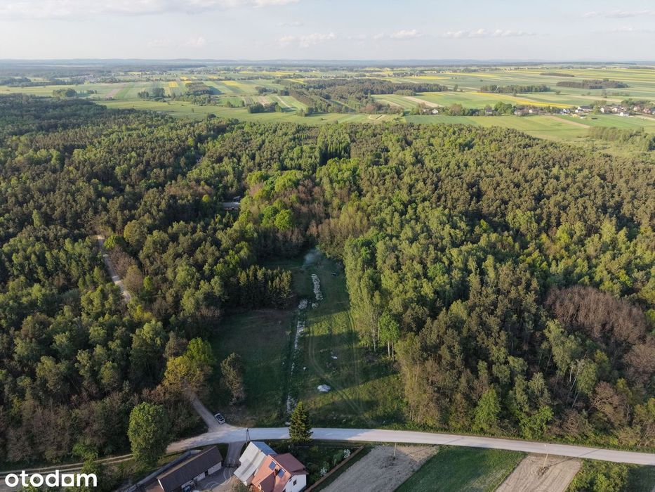 Spokój i cisza przy lesie| Działka budowlana 544 m2 | Osada Warzyn