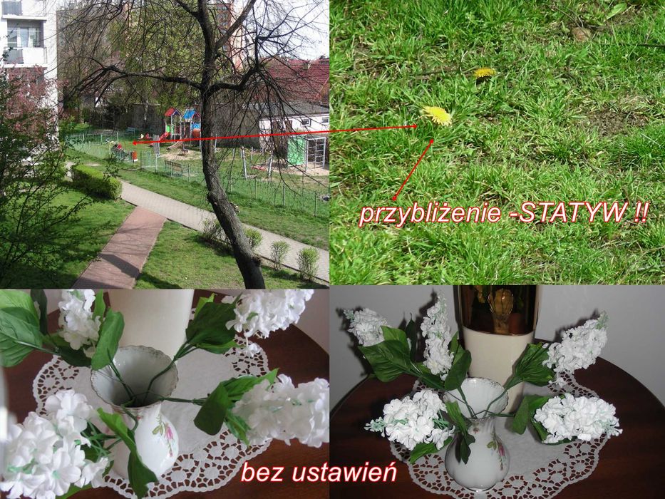 Aparat fotograficzny Nikon Coolpix S10 VR