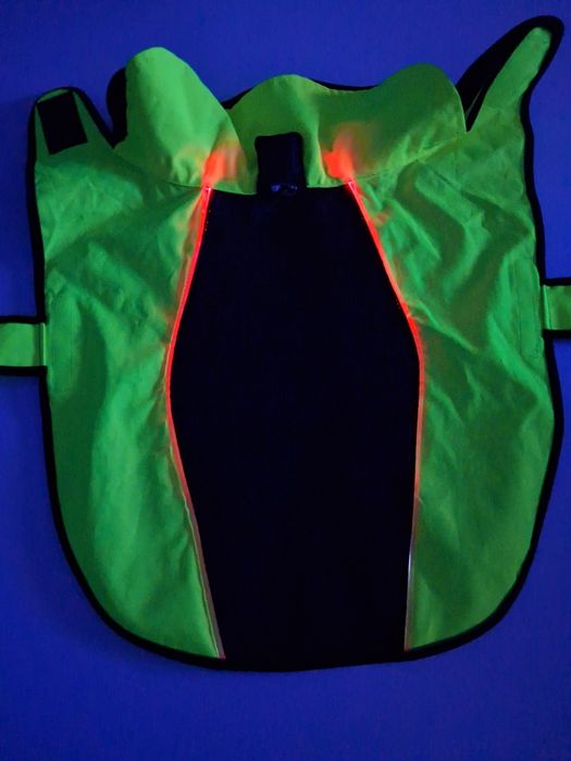 Ubranko dla Psa świecące