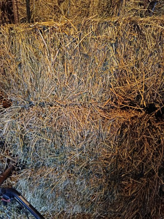 Продаю тюки соломи і сіна.