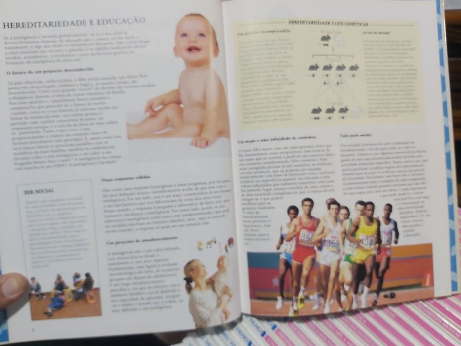 Coleção "O meu filho"