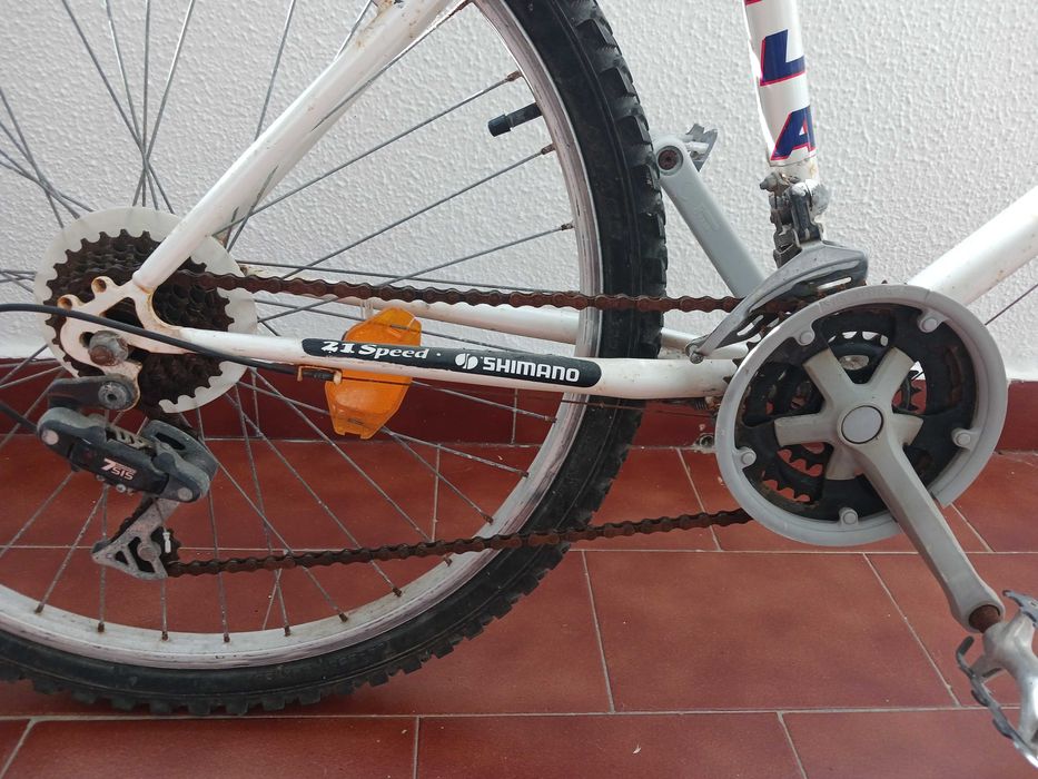 Bicicleta para adulto