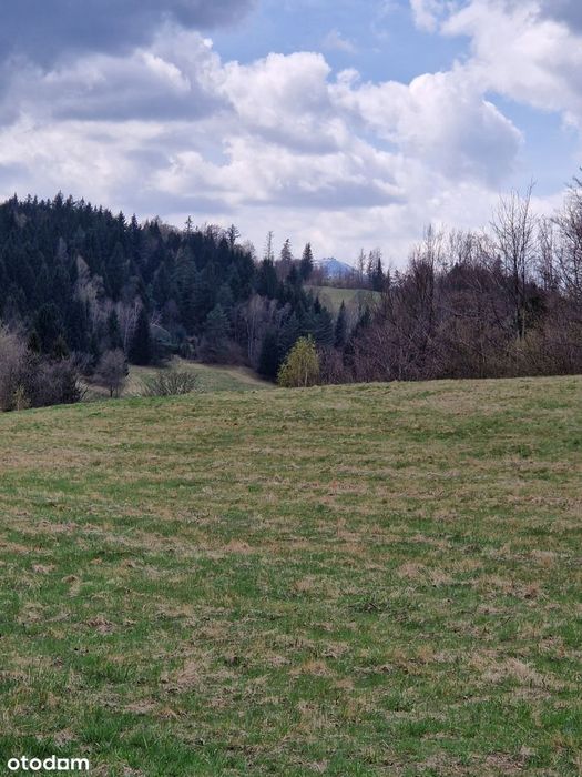 Dolnośląskie, panorama na Sudety, Gruszków