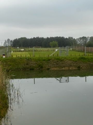 Sprzedam działkę o powierzchni 1997 m²