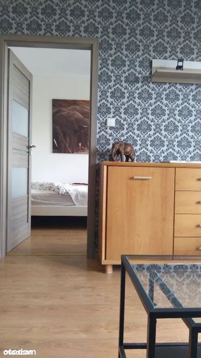 Zdjęcie 3