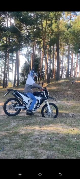 Продам Лонсін 300