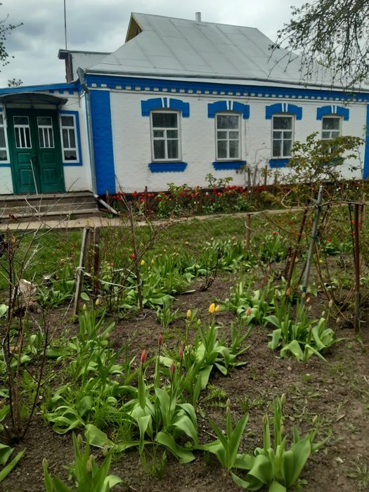 Продо будинок газифікований.