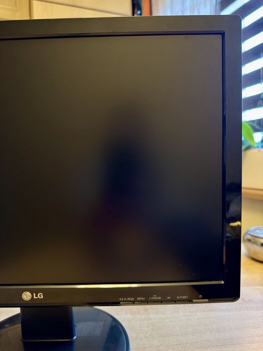 Monitor LG Flatron W1942S 19 cali Panorama