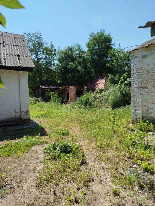 Продам       будинок в селі