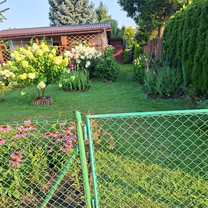 Sprzedam działkę ROD nad Zalewem Żyrardowskim