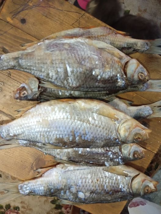 Продам тарань плотва ікряна