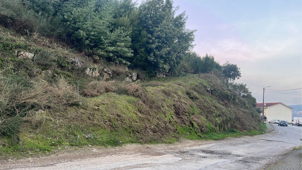 Limpezas de terrenos / desmatação e jardinagem