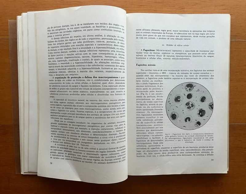 Patologia Geral para Veterinários