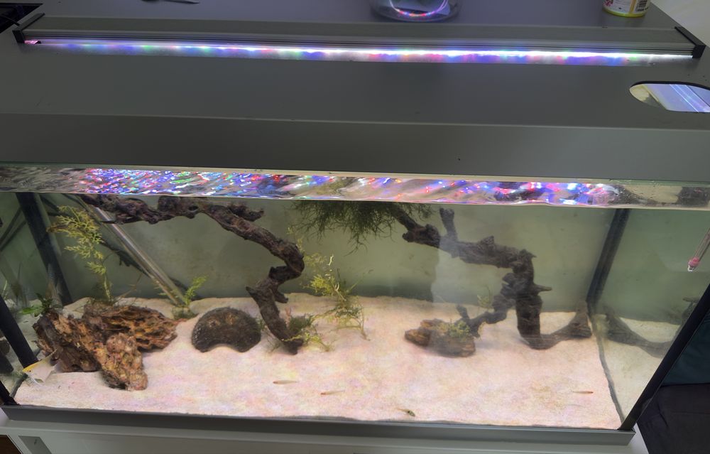 Aquario 100x40x50