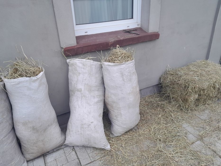 СВІЖАК цього року сіно в тюках та в мішках. Трава суха