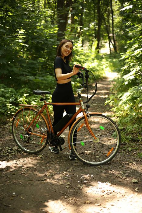 Электронабор для велосипеда Bafang 8fun 750w 48v электровелосипед