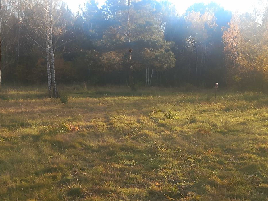Sprzedam Działkę budowlaną k/Urli w Kukawkach