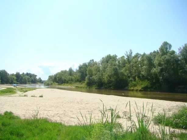 Оренда котеджу в шикарному місці на Десні подобово!!!