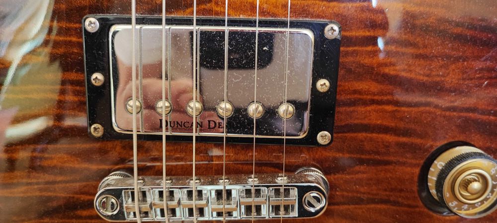 Profesjonalna Gitara Elektryczna