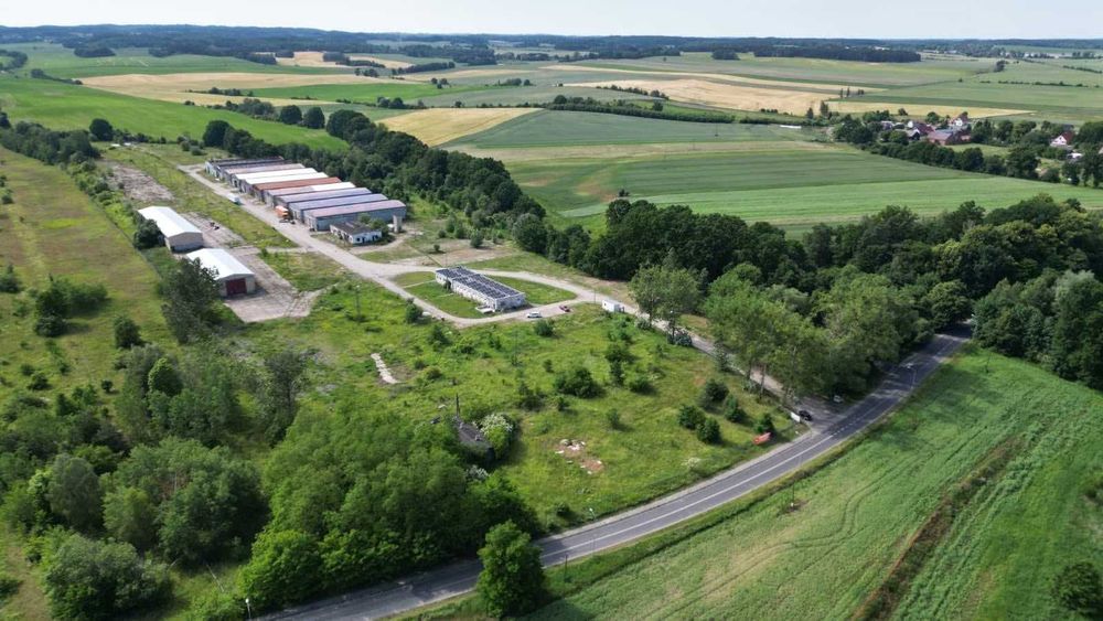 Plac utwardzony 59 000 m² do wynajęcia – Staropole - Widok 4