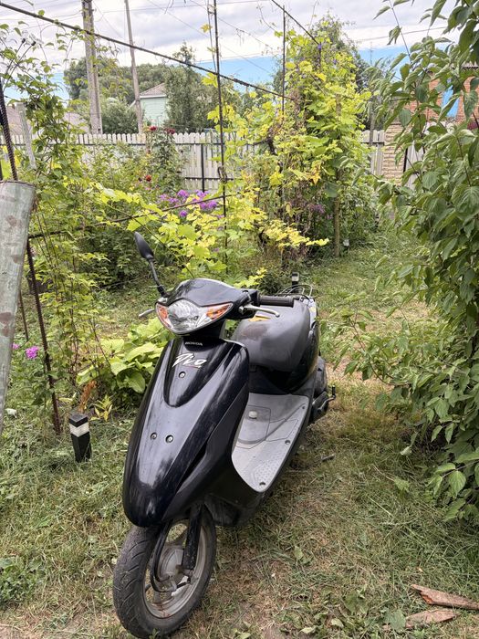 Honda dio af 56