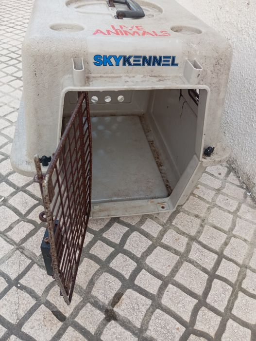 Transportadora de animais