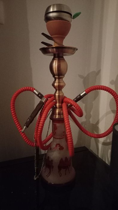 Chicha red camel