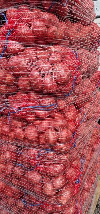 Batata Agria e Cebola