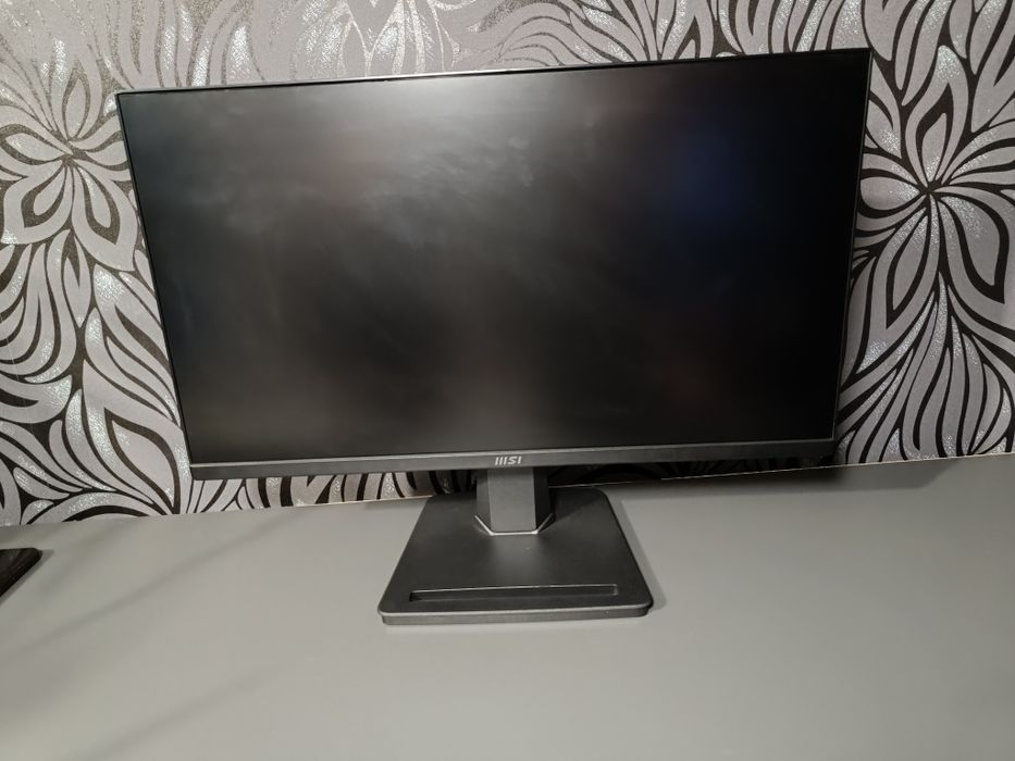 Монітор  MSI Pro MP250V