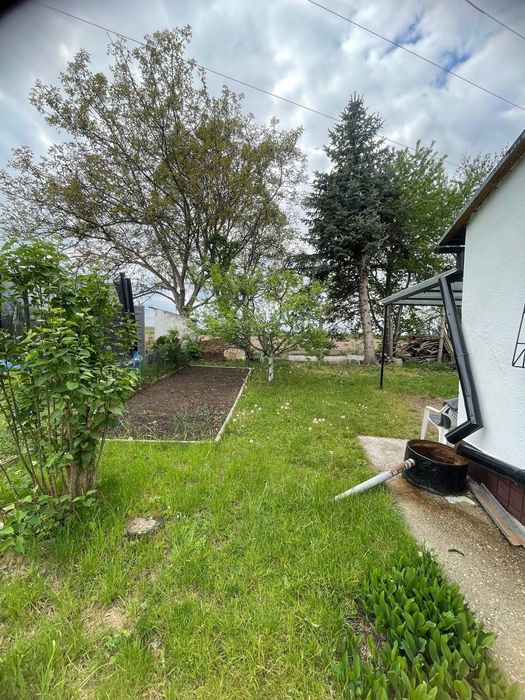 Sprzedam działkę ROD w Świdnicy na osiedla młodych pod grzybem 330m² - Widok 5