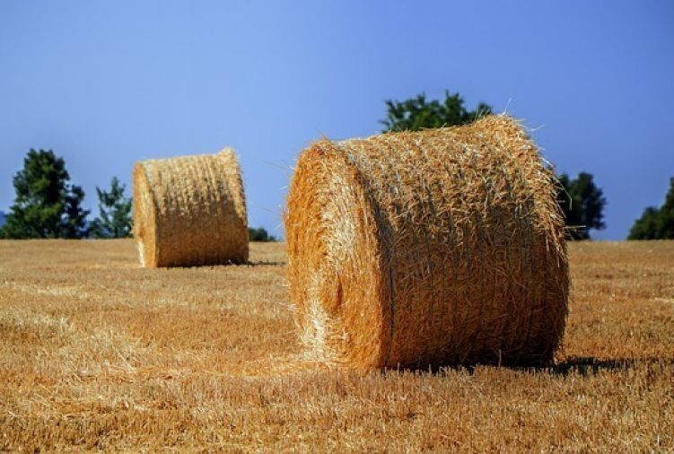 Słoma, baloty, bele