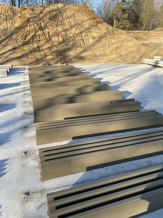 Podmurówka gladka (2 gatunek)