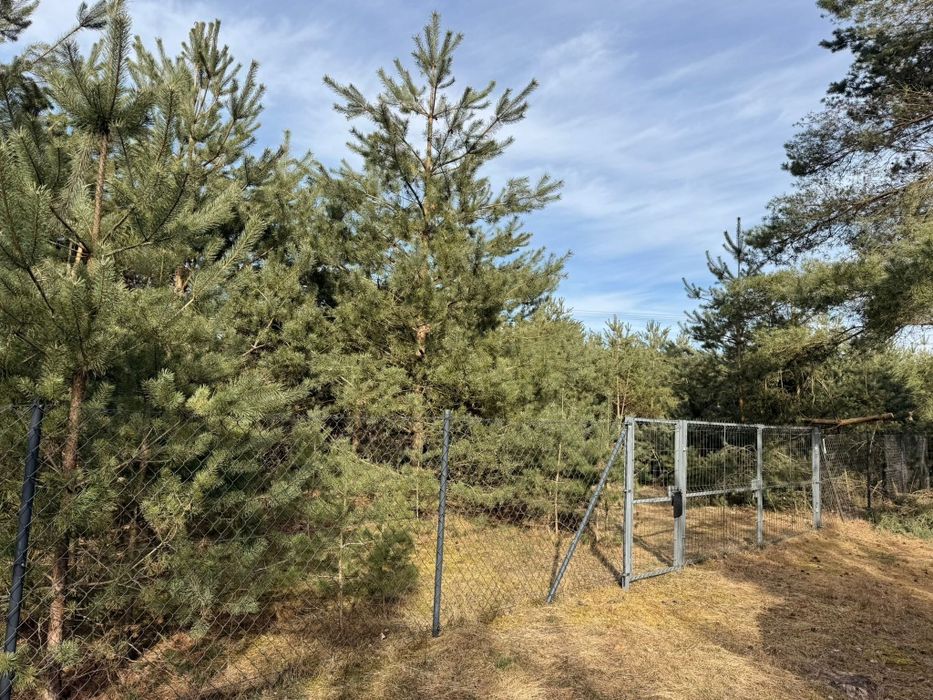 Pole namiotowe, kampingowe