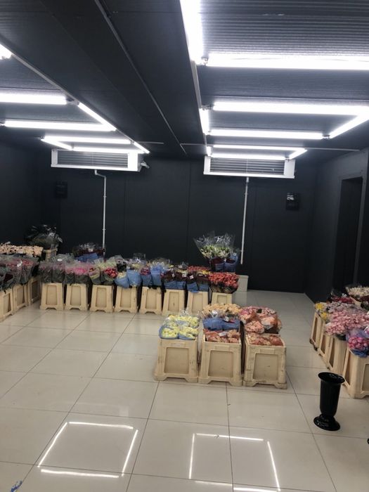 Продаж приміщенні 145,5 кв м , центр