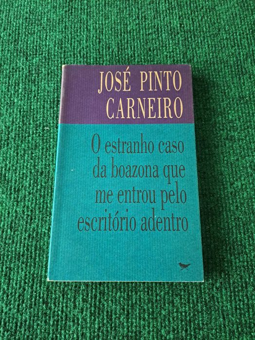 O estranho caso da boazona que me entrou pelo escritório adentro