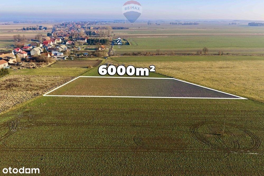 Okazja cenowa! Duża działka - Chocianowiec