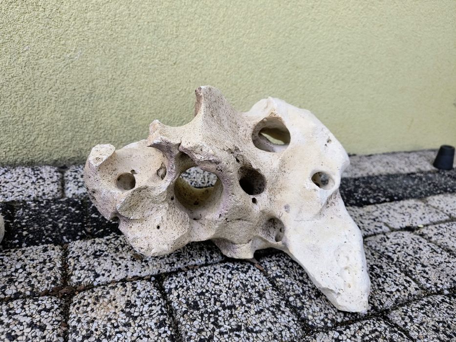 Skala Limastone , Wapień filipiński do akwarium