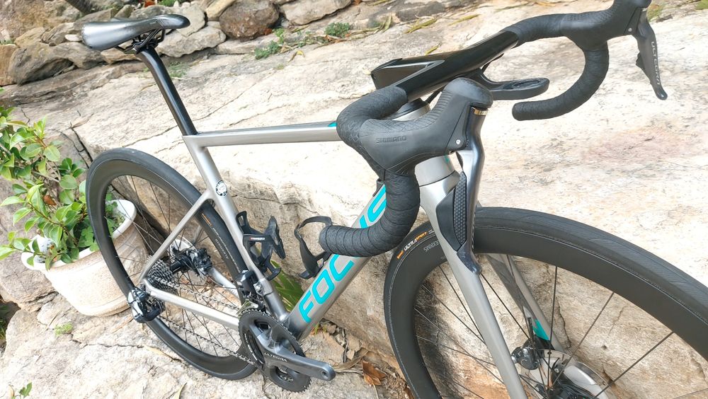 Focus Izalco Max t49 dicotomia di2