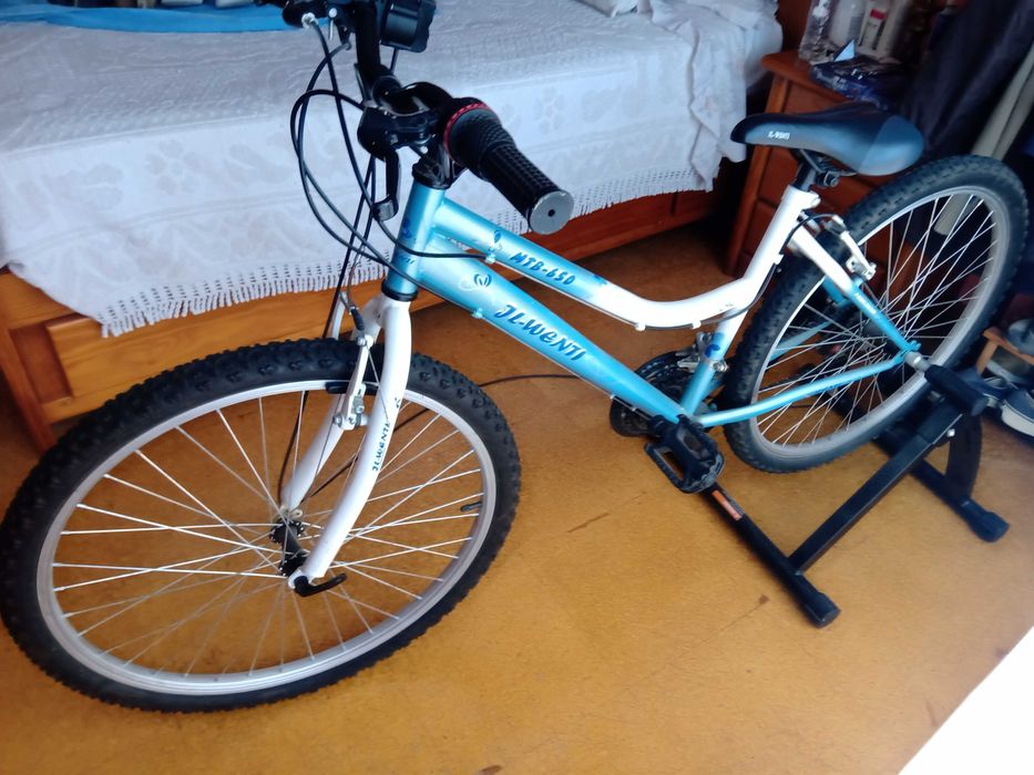 Bicicleta com rolo de treino