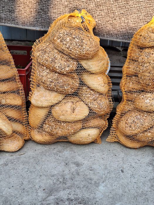 Sprzedam suchy chleb.